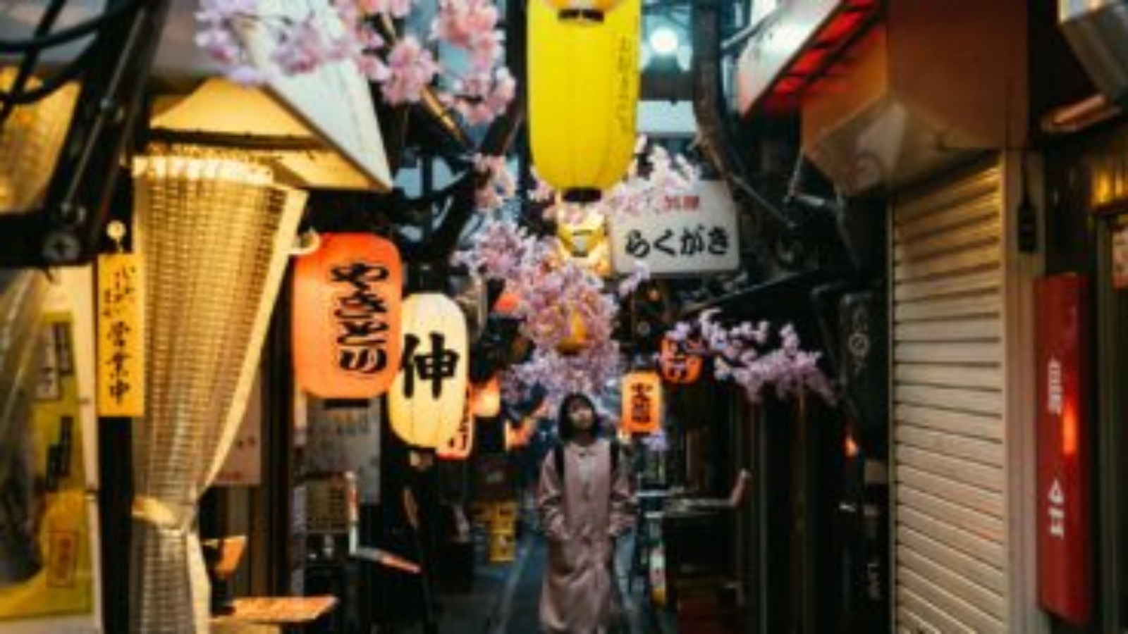 astemir-almov-1553930-unsplash-370x207