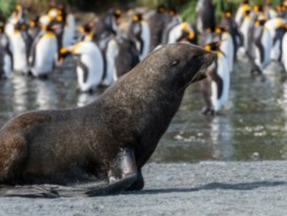 paul-carroll-1421369-unsplash-370x207