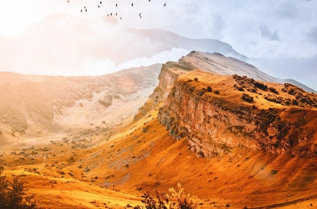 rauf-mekhraliev-1099154-unsplash-637x420