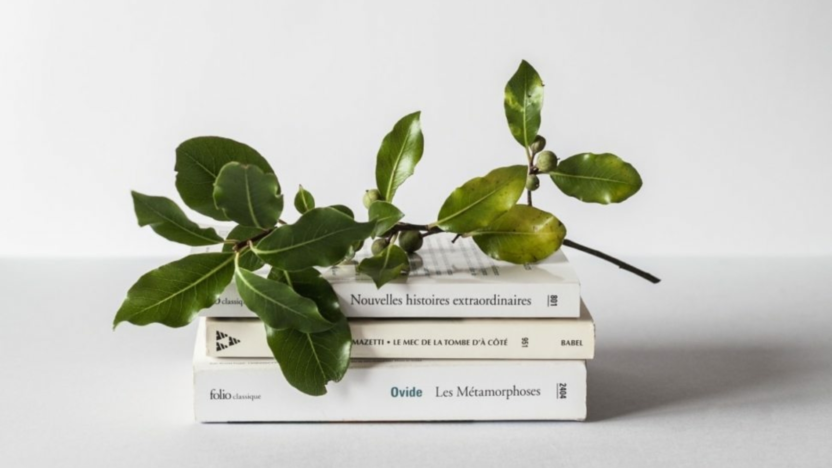 david-van-dijk-3LTht2nxd34-unsplash-970x728