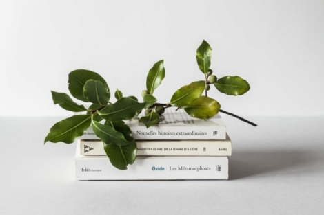 david-van-dijk-3LTht2nxd34-unsplash-970x728