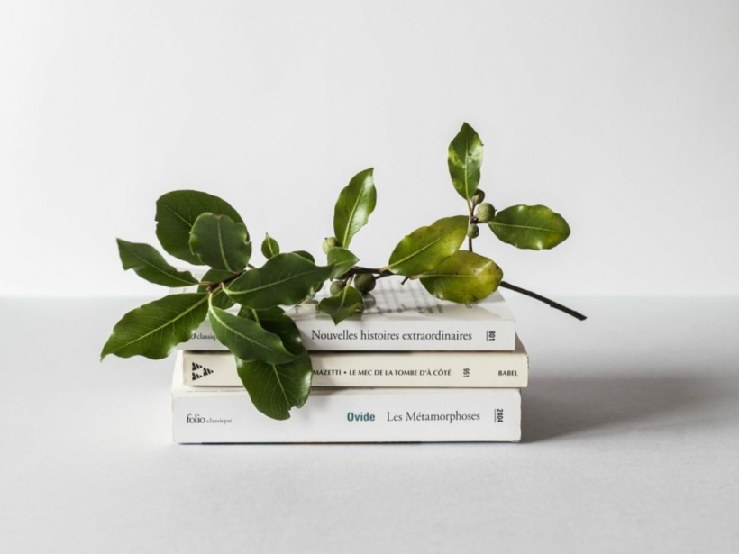 david-van-dijk-3LTht2nxd34-unsplash-970x728