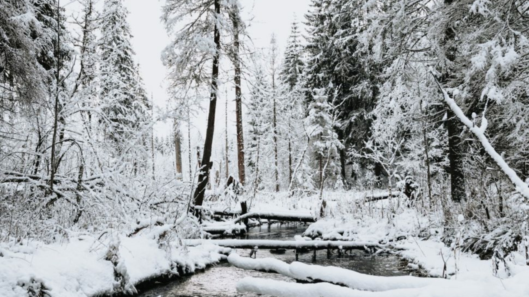 kristaps-ungurs-zf3gwt5Rod0-unsplash-scaled-970x728