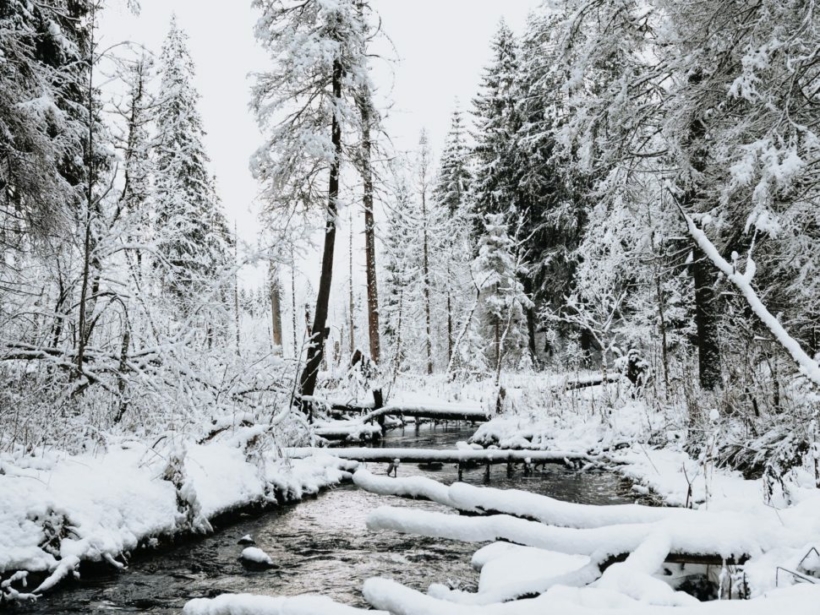 kristaps-ungurs-zf3gwt5Rod0-unsplash-scaled-970x728