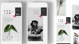 84316050-0af0-49db-a53a-241d47ddad0e-1-587x440