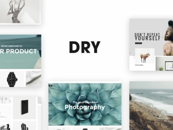 DRY-1-587x440