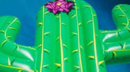 jakob-owens-gtuzMFrkq6Q-unsplash-607x625