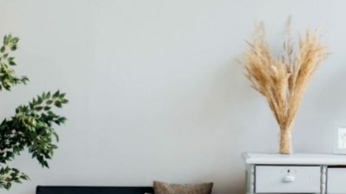 alexandra-gorn-485551-unsplash-400x532