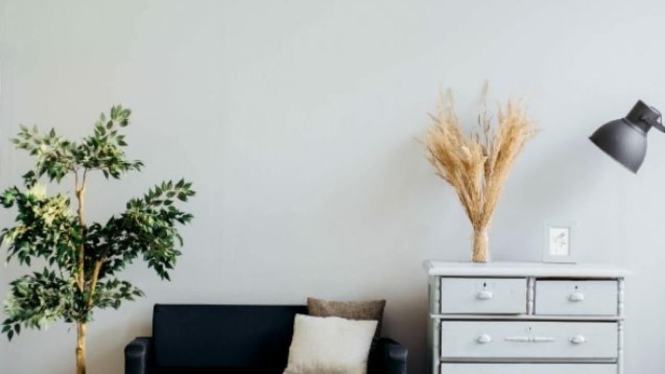 alexandra-gorn-485551-unsplash-637x579