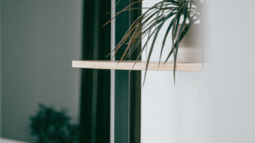 charles-1196865-unsplash-400x532