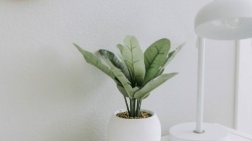 samantha-gades-761364-unsplash-400x532