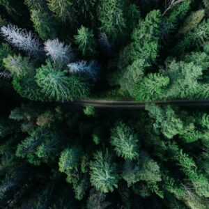 geran-de-klerk-136351-unsplash-641x481