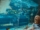 showing-her-the-sharks-GHR4ZKN-1-768x862