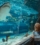 showing-her-the-sharks-GHR4ZKN-1-768x862