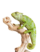 graceful-chameleon-PEWXWX6-2